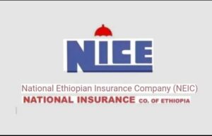 Nice insu